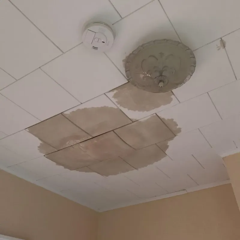 Ceiling Water Damage Repair in Meadville, PA