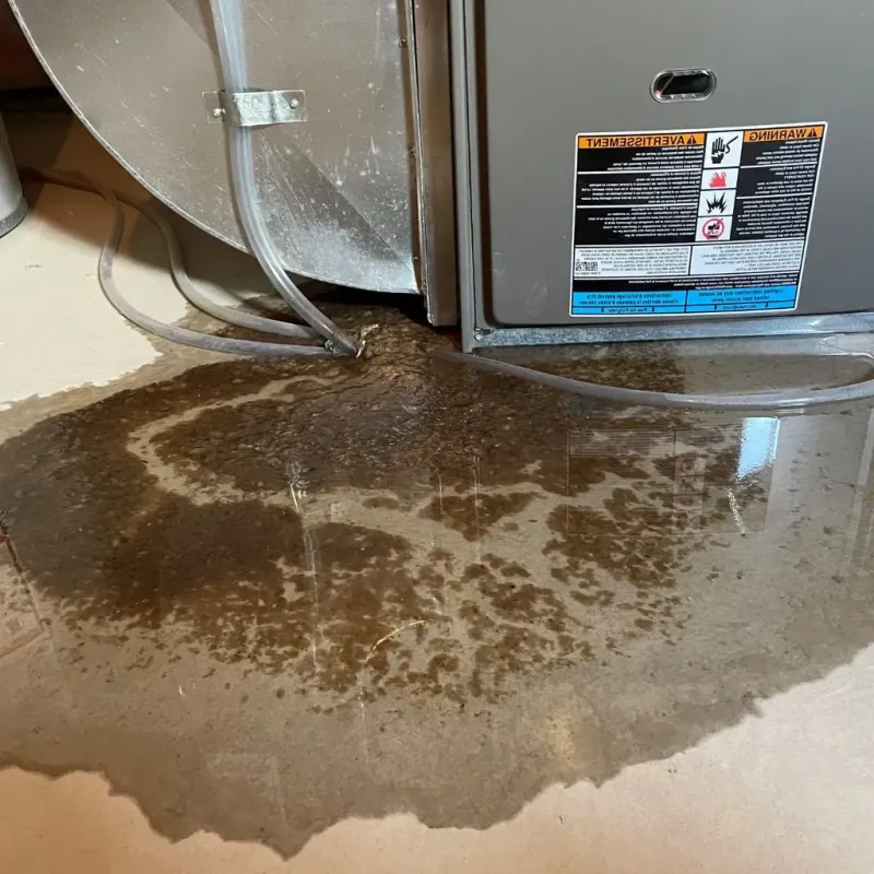 Pipe Burst and Leak Restoration in Meadville, PA