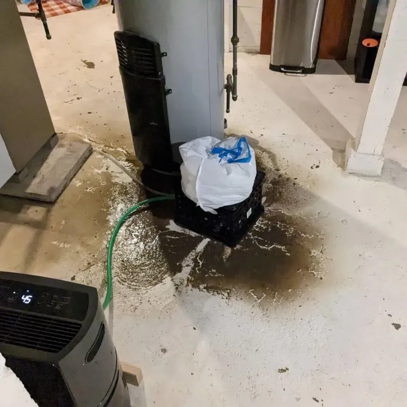 Sewage Backup Cleanup Service in Meadville, PA